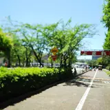 浦安市交通公園