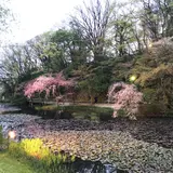 千秋公園