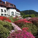 小田急 山のホテル