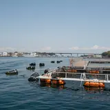 城ヶ島渡船