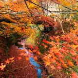 帝釈峡スコラ高原へ行くなら おすすめの過ごし方や周辺情報をチェック Holiday ホリデー