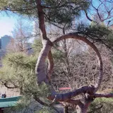 清水観音堂