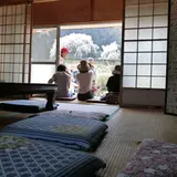 奥山田のしだれ桜