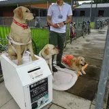 日本盲導犬総合センター