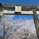 菊池神社参道
