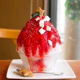 紅茶専門店ティーハウスマユール宮崎台店
