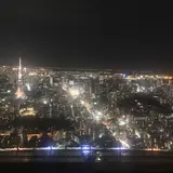 六本木ヒルズ展望台 東京シティビュー 