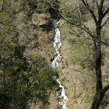 白水の滝