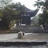 東大寺鐘楼(奈良太郎)