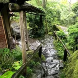 白雲洞茶苑