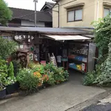 梅本とうふ店