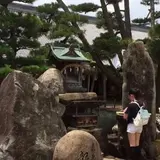 大願寺の九本松