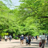 上野恩賜公園（上野公園）