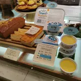 ロダス