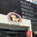 ペットショップCoo&RIKU 沖縄浦添店