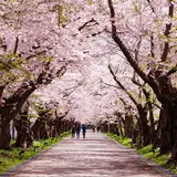 松前藩戸切地陣屋跡