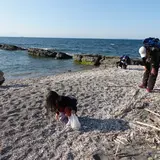 たてやま・海辺の鑑定団｜シュノーケリング・自然体験