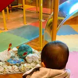 ヨコハマおもしろ水族館・赤ちゃん水族館