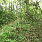 高月城跡