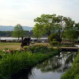 昆陽池公園