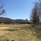 矢ケ崎公園