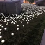 LEDバラ庭園