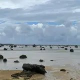 魚垣