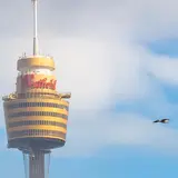 Sydney Tower Eye（シドニータワー・アイ）