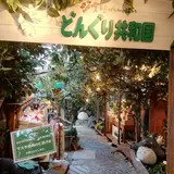 どんぐり共和国
