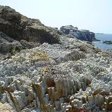 日御碕の岩石