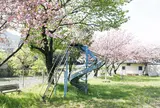 俵米神社公園の桜