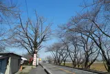 木曽川堤防道路