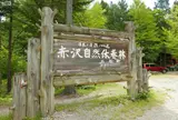 赤沢自然休養林