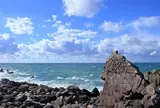 大山岬