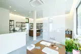 soil flagship shop