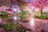 日中友好庭園