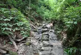 6号路