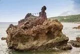 椿尾弁天岩（通称：ゴジラ岩）