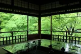 ≪瑠璃の庭≫が見事「無量寿山  光明寺瑠璃光院」