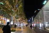 KITTE名古屋のツリーイルミ