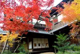 旧安田楠雄邸庭園