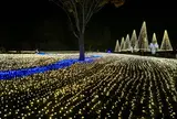 国営木曽三川公園「冬の光物語」