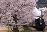 家山桜トンネル周辺