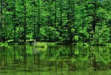 明神池