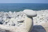 鳴り石の浜