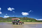 由布島ゆき水牛乗り場