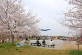 千葉県 成田空港周辺　飛行機ビュースポット！！