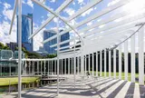 The Calyx