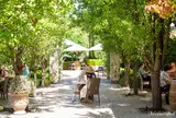 Golding Wines