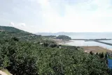 河内海岸